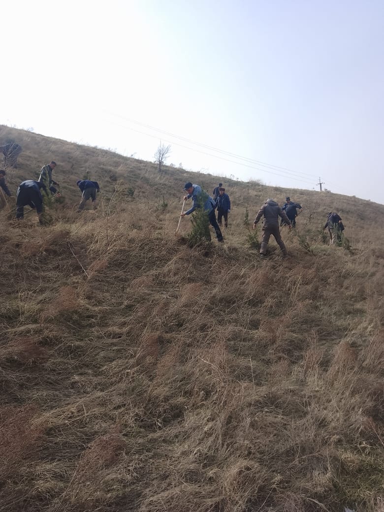 7b12a6cc-381b-4807-a990-ac129e97cc82