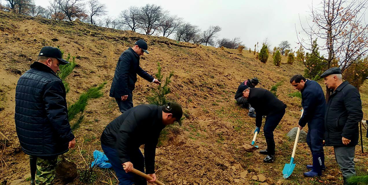 643401762_937154692181922_229895796465224884_n